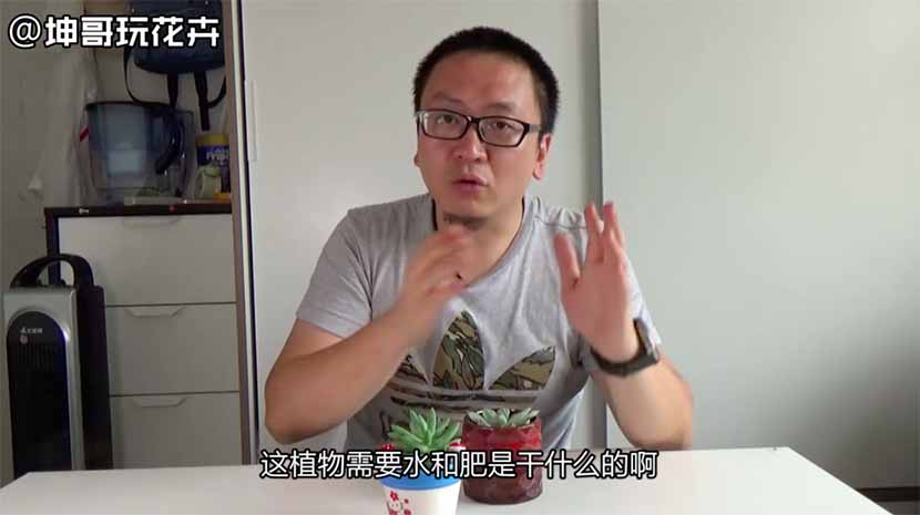 A screenshot from a video on Zhu Kun’s Toutiao blog shows him lecturing viewers on how to raise succulent plants, such as cactuses.