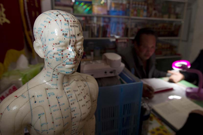 A mannequin at a traditional Chinese medicine clinic shows the meridians of the human body, Shanghai, March 2, 2011. Gao Jianping/Sixth Tone