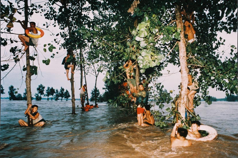 People climb trees to escape the flood in Paizhouwan Township, Hubei province, Aug. 1, 1998. Li Jing/VCG