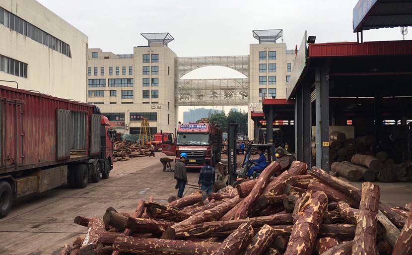 Workers are busy at a warehouse in Zhangjiagang, Jiangsu province, Oct. 14, 2016. Wu Yue/Sixth Tone