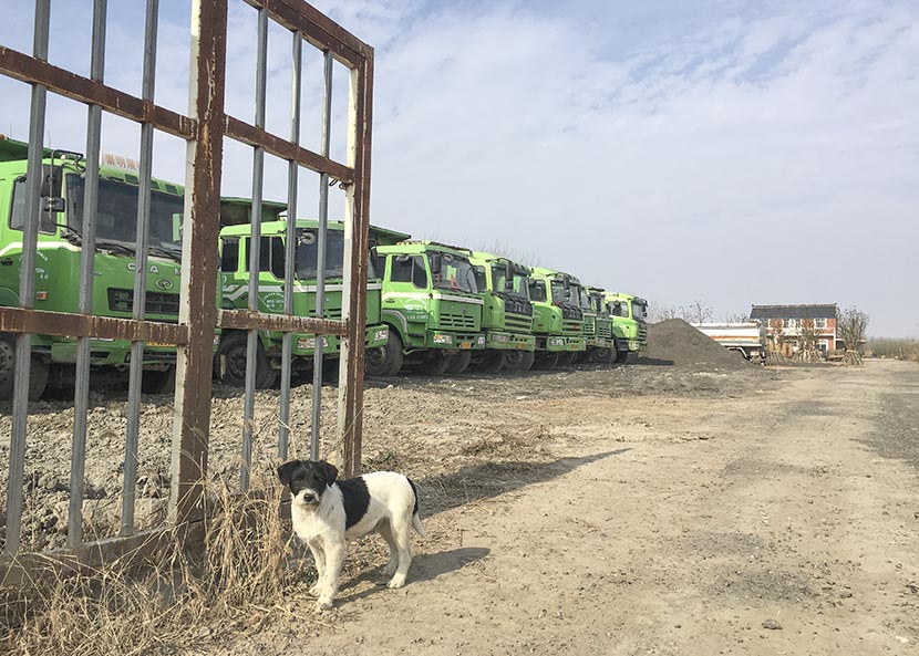 Dump trucks are parked along a dirt road, and a watchdog guards the entrance to a construction site in Xinqiao Village, Chongming Island, Shanghai, Jan. 28, 2017. Relocation efforts and construction work have been suspended for Chinese New Year. Ni Dandan/Sixth Tone