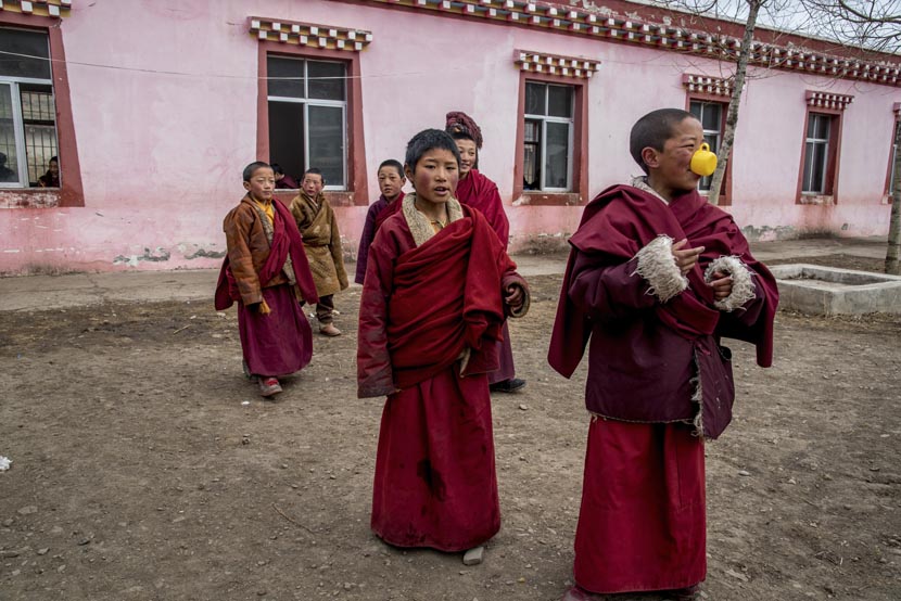 Young monks gather in the courtyard outside their classroom at the Payul monastery on the Tibetan Plateau, March 19, 2016. Luc Forsyth for Sixth Tone