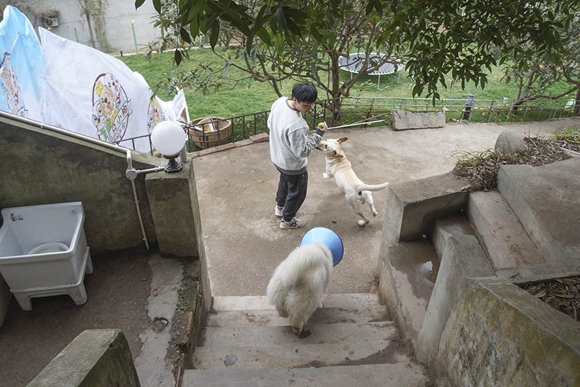 Fang Ling plays with dogs staying at her dog hotel in rural Chengdu, Sichuan province, March 4, 2017. Fan Yiying/Sixth Tone