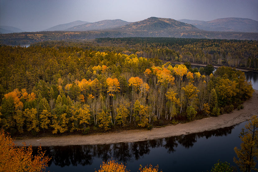 Trees with green and yellow leaves grow along the Jiliu River in Mordaga National Forest Park, Inner Mongolia Autonomous Region, Sept. 23, 2016. Xiao Shibai/Greenpeace