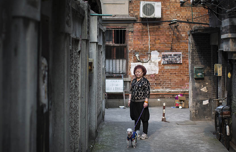 A woman with her dog stands in a lane on Changle Road in Shanghai, May 11, 2016. Yang Shenlai/Sixth Tone