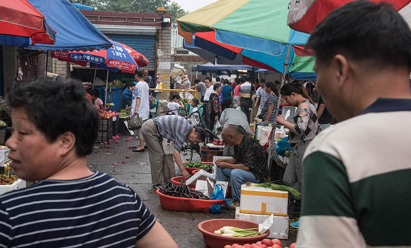 A wet market in North Xinjing, not far from the alley market, Shanghai, June 16, 2016. Zhou Yinan/Sixth Tone