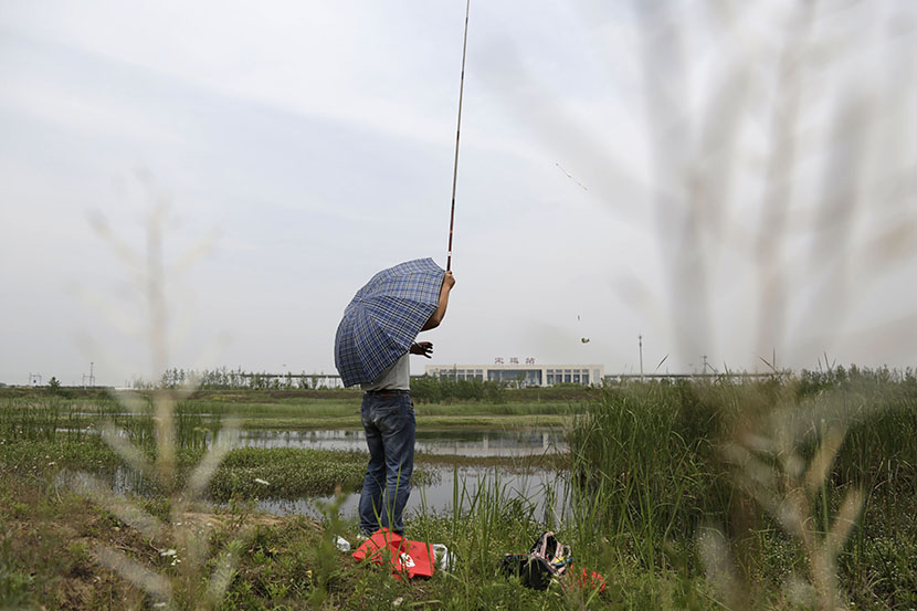 A man goes fishing on a pond near the high-speed train station in Dingyuan, Anhui province, May 24, 2016. Han Meng/Sixth Tone