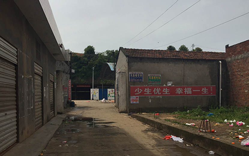 A family planning slogan warns residents not to have more than the allowed number of children, Li County, Changde City, Hunan province, July 2016. Zhao Meng/Sixth Tone