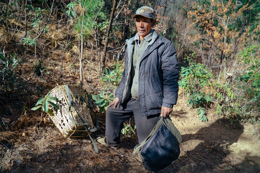 Yu Jianhua at work in the Baima Snow Mountain Nature Conservation Area, Yunnan province, Dec. 30, 2014. Xinglin Meng for Sixth Tone