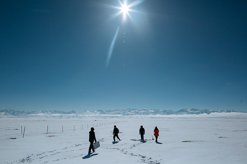 Researchers from the Xinjiang Institute of Ecology and Geography trek through snow in Bayingolin Mongolian Autonomous Prefecture, Xinjiang Uyghur Autonomous Region, March 8, 2018. Wu Huiyuan/Sixth Tone