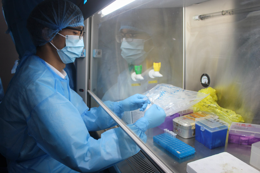 A researcher prepares an experiment at the WIV laboratory in Wuhan, Hubei province, May 4, 2018. Wang Yiwei/Sixth Tone