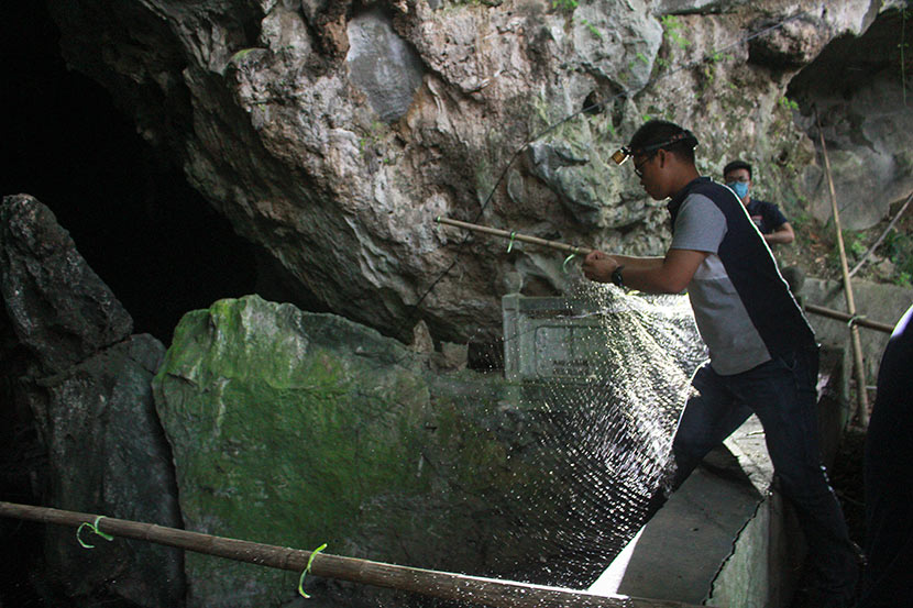 Luo Dongsheng, a researcher at the WIV, prepares nets used for catching bats at Taiyi Cave in Xianning, Hubei province, May 3, 2018. Wang Yiwei/Sixth Tone