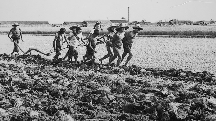 An archive photo shows people tilling a field in Xiaogang. Courtesy of Yan Hongchang