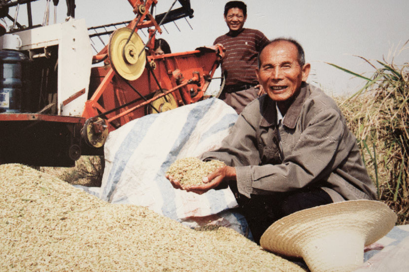 A Xiaogang farmer holds recently harvested grain in his hands in this archive photo. Courtesy of Yan Hongchang