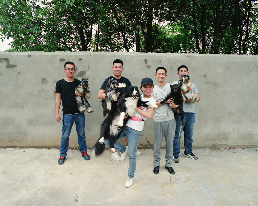 Wang Xu’s dog handling team at their new training kennel in Wuhan, Hubei province, May 25, 2018. Wu Huiyuan/Sixth Tone