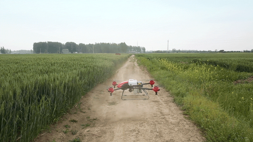 An agricultural drone takes off in some fields, Zhumadian, Henan province, April 21, 2018. Shi Yangkun/Sixth Tone