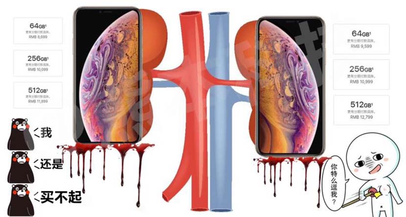 A netizen-created image shows two new iPhones in place of kidneys, in accordance with the running joke that even if you sold your kidneys, you wouldn’t be able to afford a new iPhone. From a WeChat group of Apple fans
