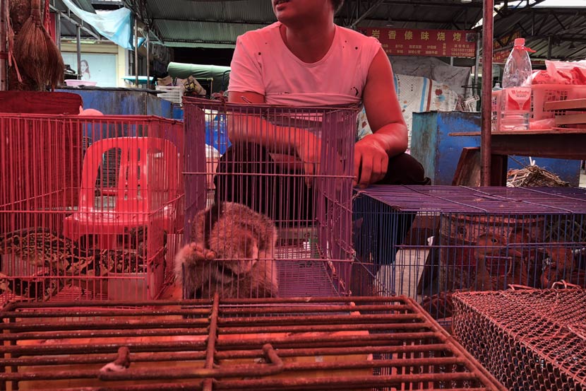 Monitor lizards and more are for sale, in Mong La, Myanmar, July 25, 2018. Smugglers can find pangolins, macaques, slow lorises, and other endangered animals in the market. Shi Yi/Sixth Tone