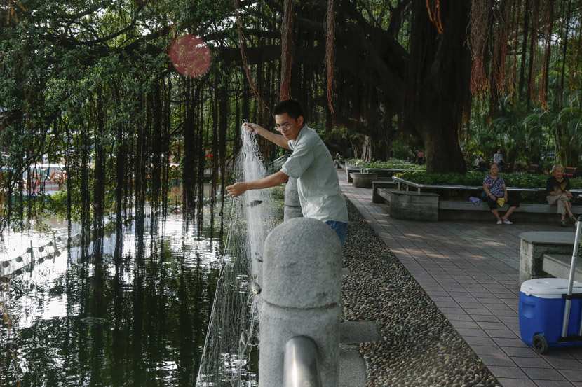 Gu Dan’gen pulls a net out of Dongshan Lake in a park in Guangzhou, Guangdong province, Sept. 11, 2018. Li You/Sixth Tone
