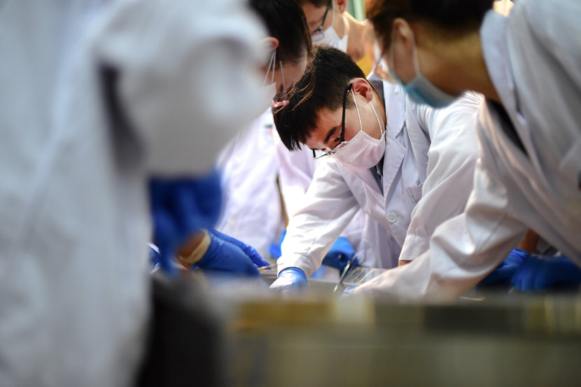 Medical students during an anatomy class at a school in Qingdao, Shandong province, Sept. 19, 2017. VCG