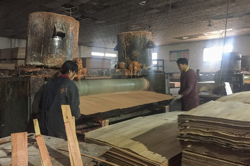 Workers make plywood in Xingang Group, Linyi, Shandong province, Jan. 16, 2018. Shi Yi/Sixth Tone