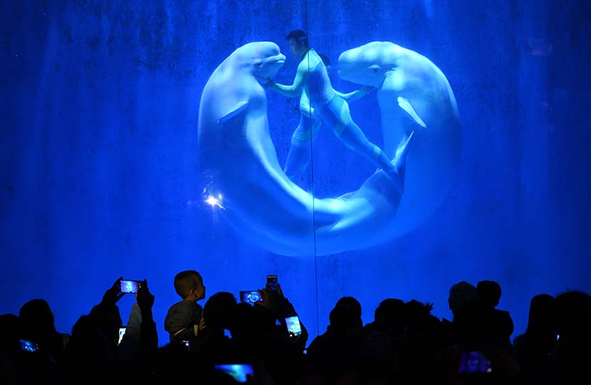 Autistic children and their parents watch a beluga whale show at Harbin Polarland on World Autism Awareness Day, Heilongjiang province, April 2, 2019. Wang Jianwei/Xinhua