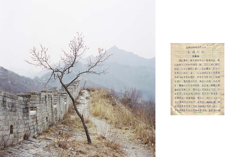 Left: A flowering tree on the Long Wall, Yiyuankou Village, Qinghuangdao, Hebei province, 2017; right: A handwritten traditional folk tale about the Long Wall by Zhang Heshan, Chengziyu Village, Qinhuangdao, Hebei province, 2017. From “Watering my Horse by a Spring at the Foot of the Long Wall”