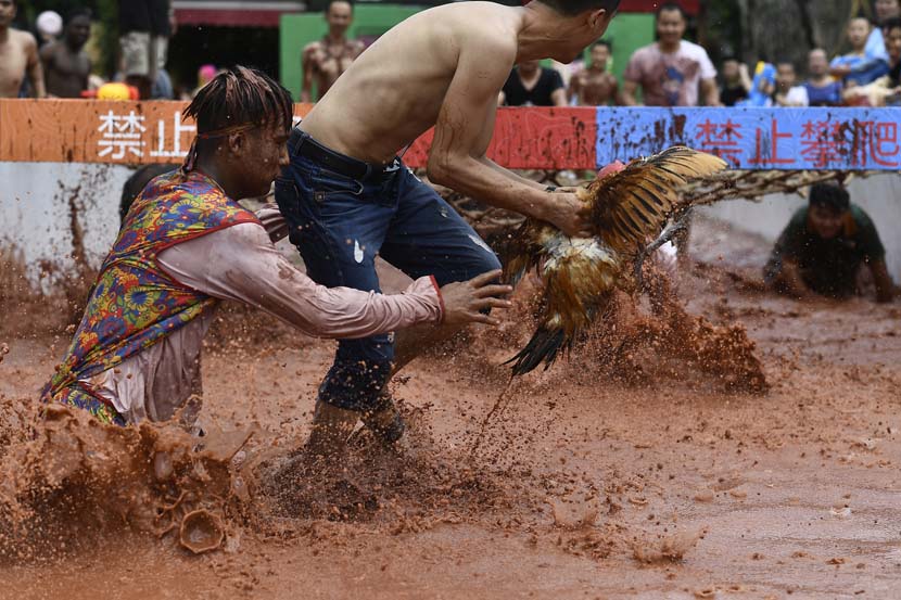 Two men compete to catch a chicken during an event at a theme park in Chongqing, June 29, 2019. VCG
