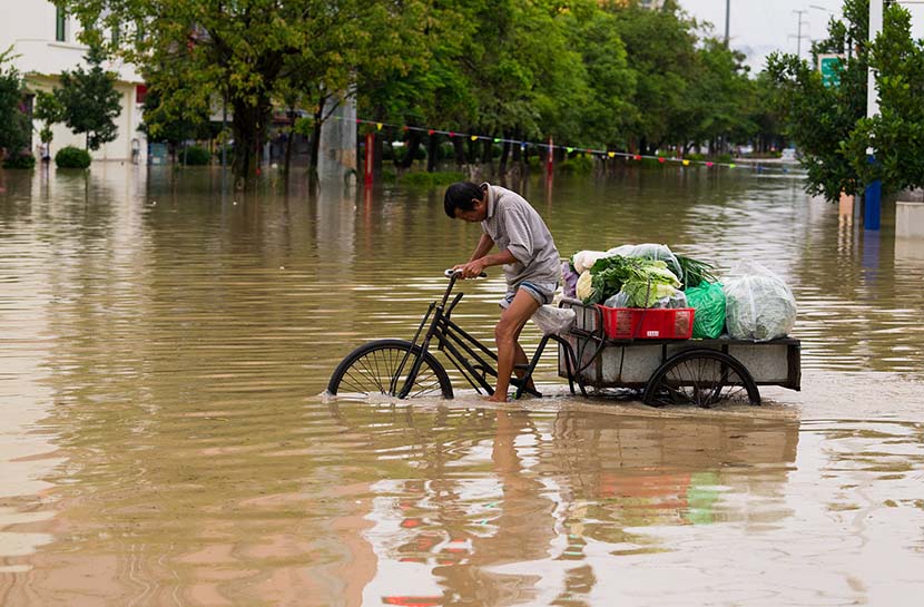 A vegetable farmer pushes a tricycle in the flood in Ruili, Yunnan province, June 26, 2019. VCG