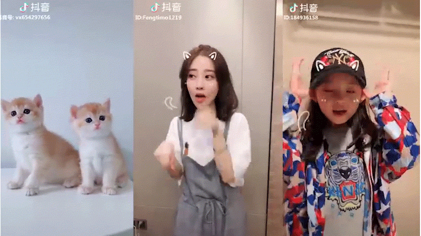 A GIF shows various versions of “Learn to Meow” on the app Douyin. From Douyin