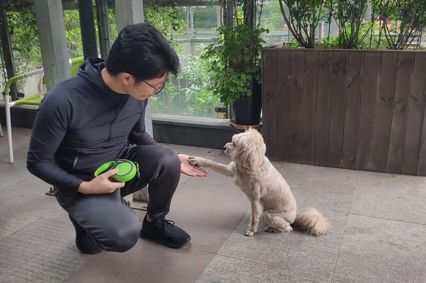 Hu Bao shakes hands with his pet dog in Shanghai, May 7, 2019. Fan Yiying/Sixth Tone