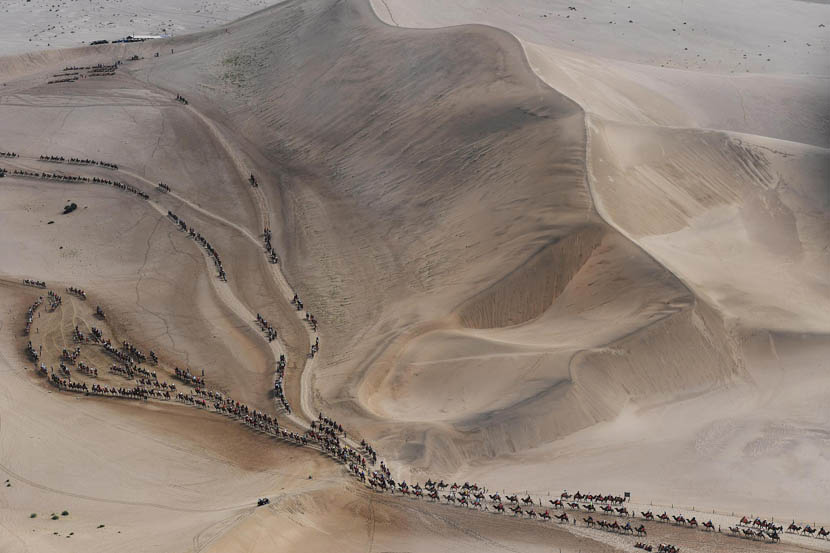 Tourists ride camels at the Mingsha Mountain and Crescent Lake scenic area near Dunhuang, Gansu province, Aug. 20, 2019. Yang Yanmin/China News Service/VCG