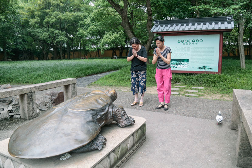 Two women pray before the bronze turtle statue at Xiyuan Temple in Suzhou, Jiangsu province, June 9, 2017. Li You/Sixth Tone