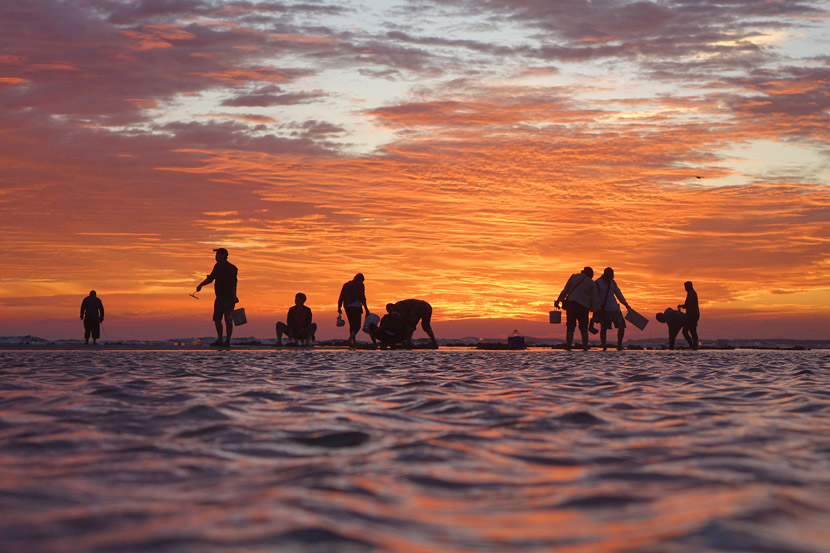 Locals go beachcombing as the sun rises in Yantai, Shandong province, Sept. 15, 2019. Tang Ke/VCG