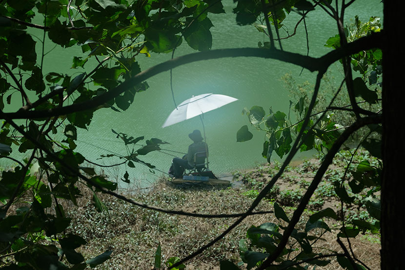 A man fishes inside Qianjiangyuan National Park in Zhejiang province, July 2019. Zhou Pinglang for Sixth Tone