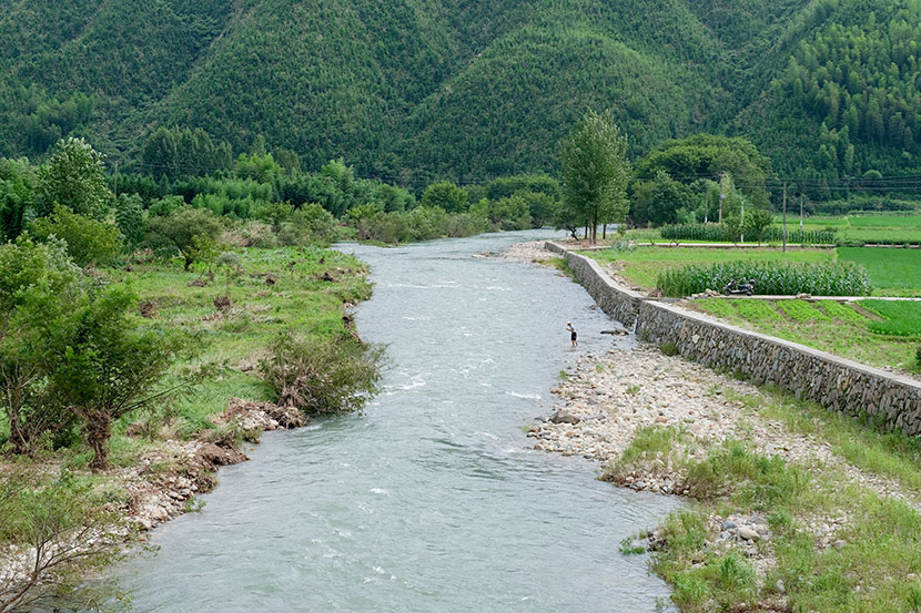 A river flows through Qianjiangyuan National Park in Zhejiang province, July 2019. Zhou Pinglang for Sixth Tone