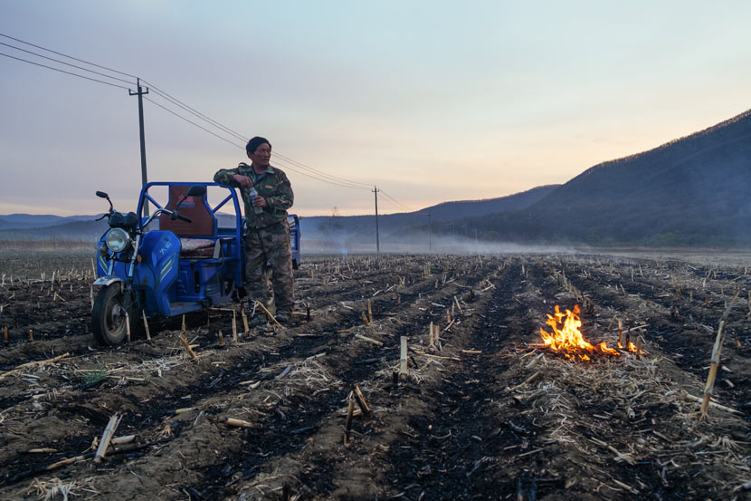 A villager burns straw on his fields in a village near Hunchun, Jilin province, April 28, 2019. Wu Huiyuan/Sixth Tone