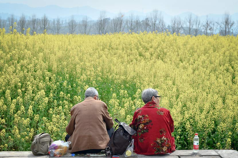 An elderly couple takes a break near a field of flowers in Chongqing, March 16, 2018. VCG