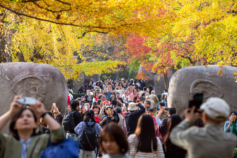 Visitors take photos of fall foliage at the Xiaoling Mausoleum of the Ming Dynasty in Nanjing, Jiangsu province, Nov. 2, 2019. IC