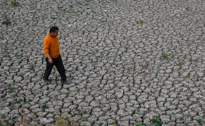 A man walks across a riverbed parched by drought in Fuyang, Anhui province, Nov. 1, 2019. 11 cities in Anhui province have suffered from drought caused by high temperatures and low rainfall since September. VCG