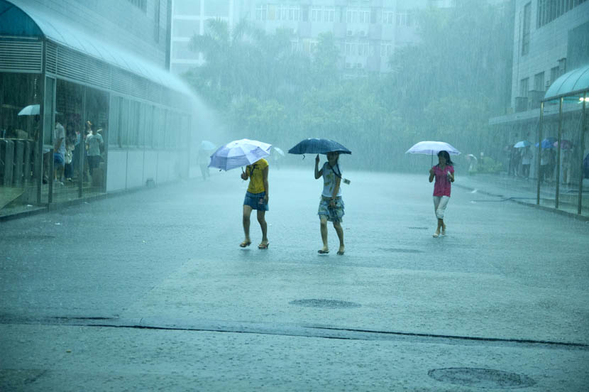 Workers in heavy rain on their way to work in Dongguan, Guangdong province, June 13, 2008. Zhan Youbing for Sixth Tone