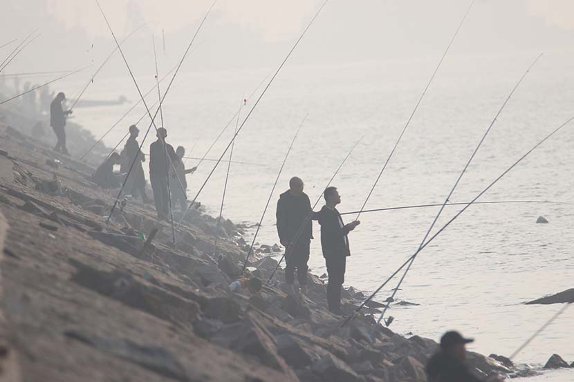 Local residents fish at Jiaozhou Bay in Qingdao, Shandong province, Nov. 9, 2019. Huang Jiexian/VCG