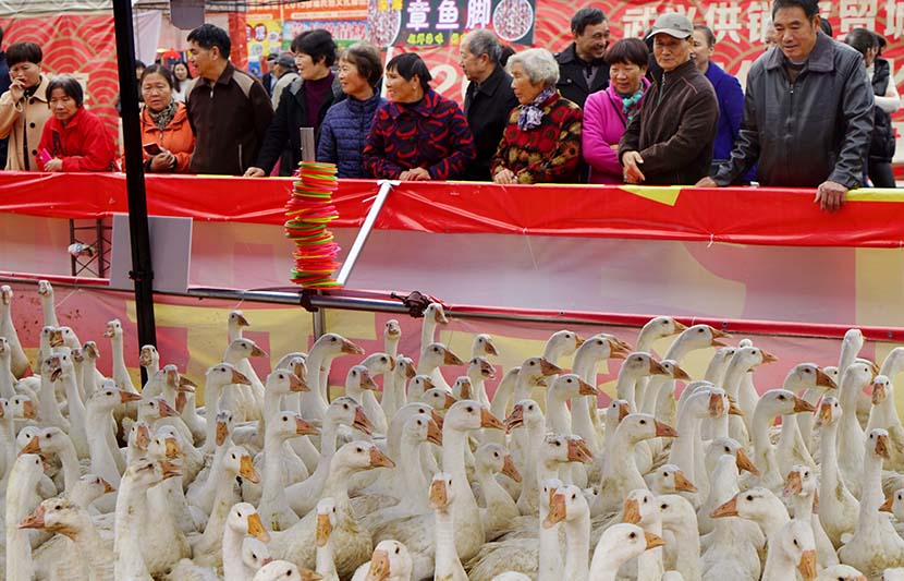 People watch a loop-catching geese game during a folk temple fair in Wuyi County, Zhejiang province, Nov. 21, 2019. Zhang Jiancheng/VCG
