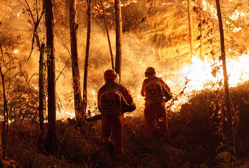 Firefighters combat a mountain fire in Gaoming District in Foshan, Guangdong province, Dec. 7, 2019. VCG
