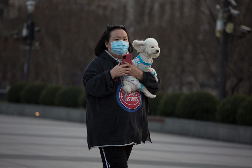 A woman holds her pet dog on the Bund in Shanghai, Feb. 5, 2020. Wu Huiyuan/Sixth Tone