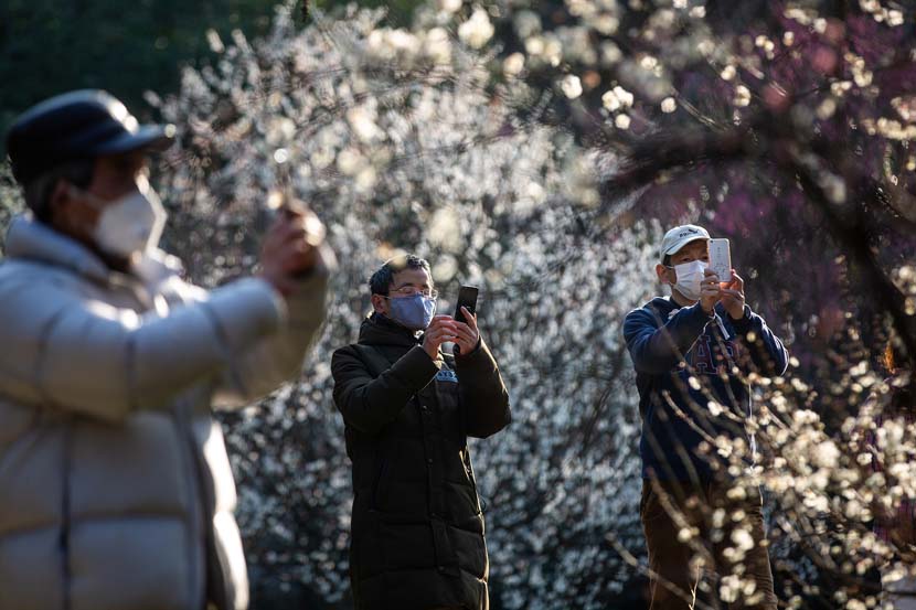 Three men take photos at the Hangzhou Botanical Garden in Zhejiang province, Feb. 20, 2020. Many of the province’s tourist sites have recently reopened for the first time in weeks. Chen Zhongqiu for Sixth Tone