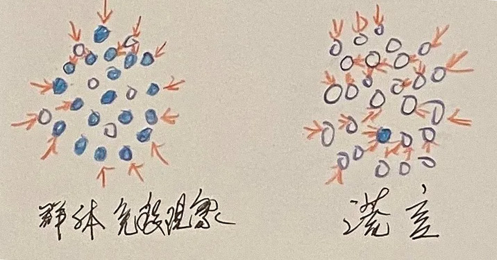 Scientist Rao Yi’s illustration of herd immunity (left). The red arrow represents the virus, the blue dots are those people with immunity, and the white dots represent those without it. From @知识分子 on Weibo