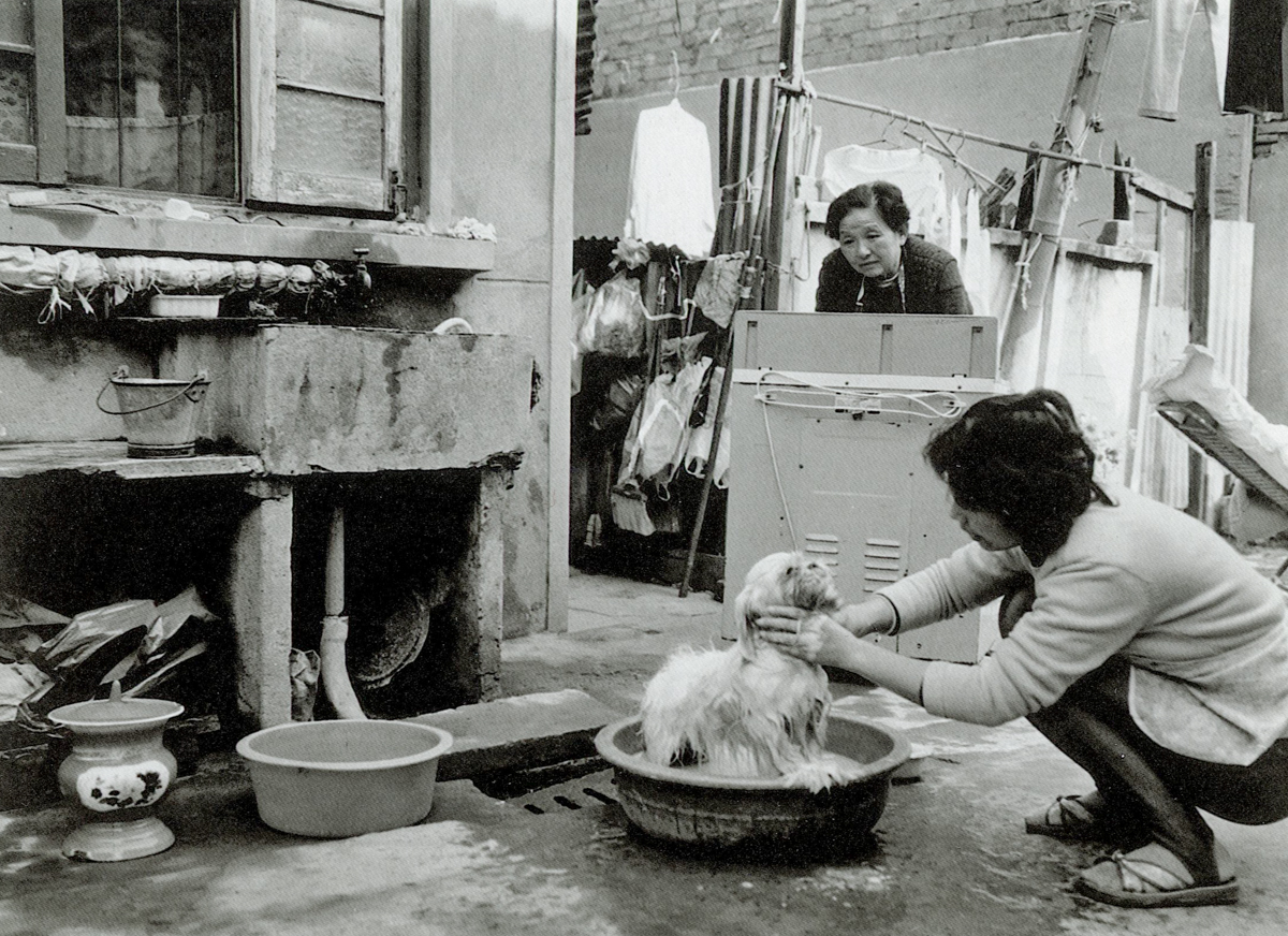 Hu Meijia gives her pet dog a bath on Lannidu Road in Shanghai, 1997. Hu spent 1,000 yuan to buy the dog from a breeder in the southwestern Yunnan province four years earlier. Courtesy of Wu Jianping