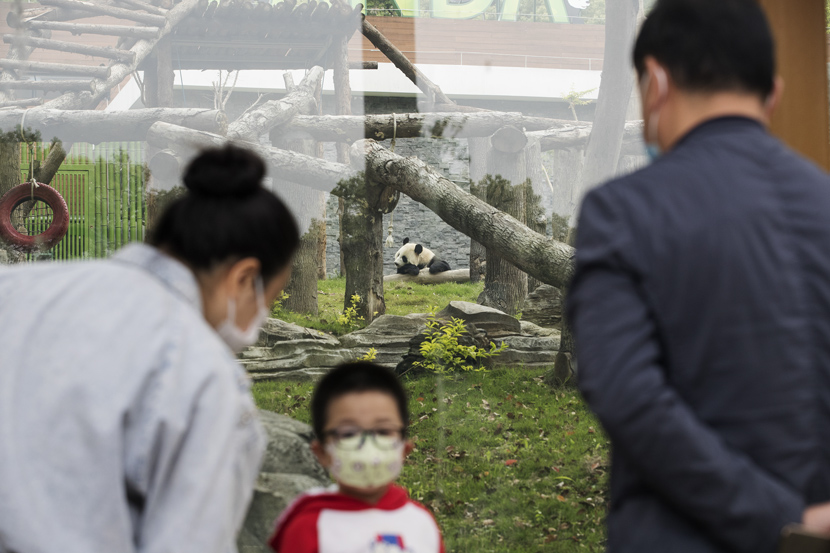 A family visits the Wuhan Zoo in Hubei province, April 22, 2020. Fei Maohua/Xinhua