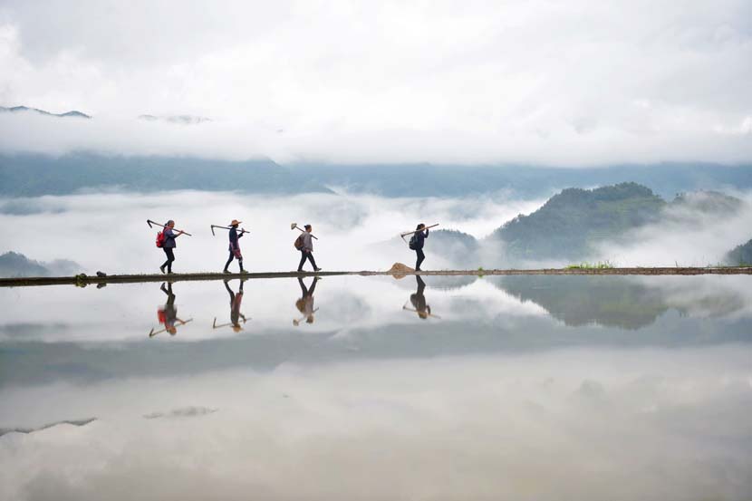 Agricultural workers carrying hoes walk to the fields in Southwest China’s Chongqing, May 15, 2020. Chen Bisheng/IC